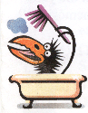dirtybird