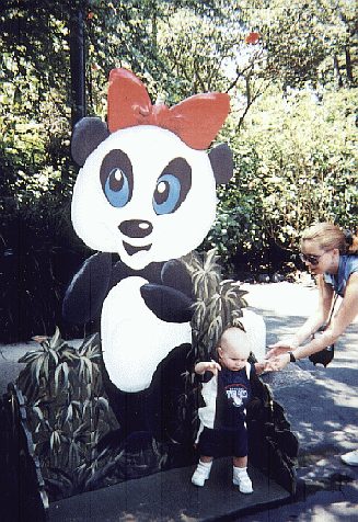Panda Cutup