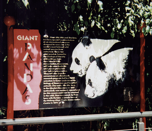 Panda Sign