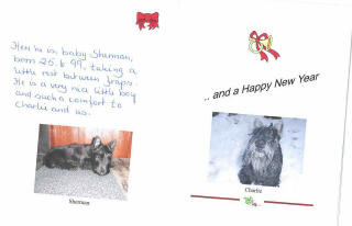 card