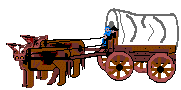 Wagon