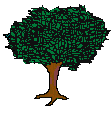 tree1.gif (2198 bytes)