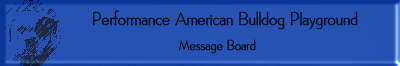 Performance American Bulldog Playground Message Board