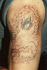 The outline...