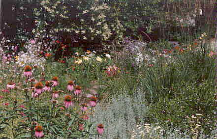 A beautiful garden in California.