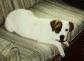 A very young Minerva.