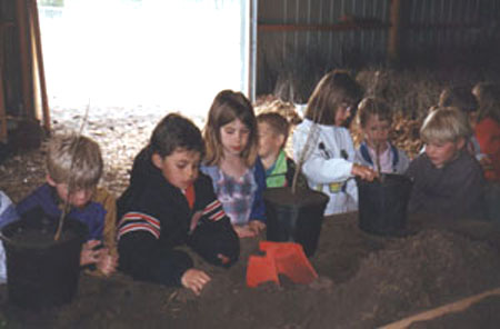 areayouth.JPG (31968 bytes)