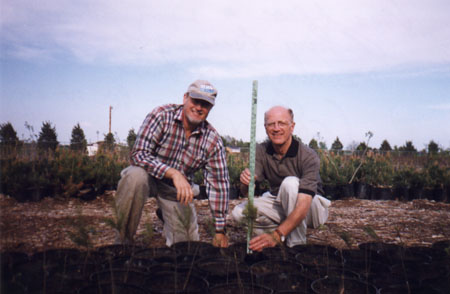 fertilizerstudy.JPG (33268 bytes)