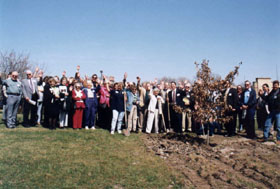 kufcplanting3.jpg (23080 bytes)