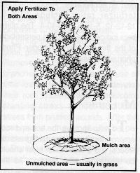 planting10.GIF (43887 bytes)