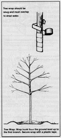 planting6.GIF (67918 bytes)