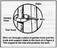 planting8.GIF (29343 bytes)