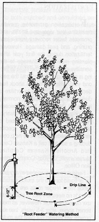 planting9.GIF (74338 bytes)