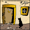 kitty