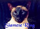 Siamese Cat
Ring
