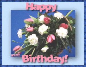 card2.gif (47062 bytes)