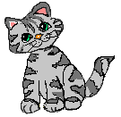 grey_tabby_1.gif (3235 bytes)