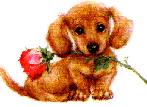 puppy1.gif (11420 bytes)