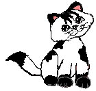 wht_blck_ani.gif (5758 bytes)