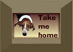 Take Me Home