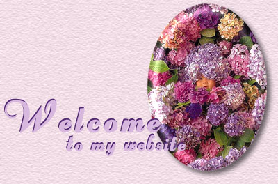 welcome image