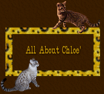All About Chloe'  View Her Photos