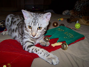 Santa was good to me! my very first Christmas!