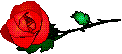 RedRose