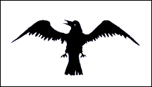 viking flag screen