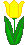 yellow tulip