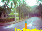 fred bantinglaan