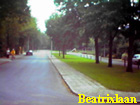 beatrixlaan