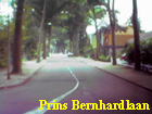 prins bernhardlaan