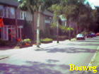 bosweg