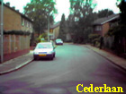 cederlaan
