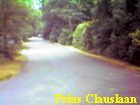 prins clauslaan