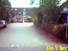 de vlier