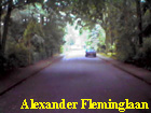 alexander fleminglaan