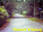 heinrich witteweg