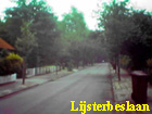 lijsterbeslaan