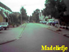 madeliefje