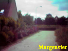 morgenster