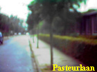 pasteurlaan