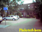 pinsterbloem