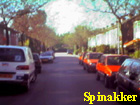 spinakker