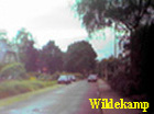 wildekamp