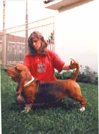 Magn�lia