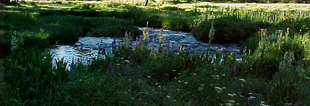 creek.jpg (30154 bytes)