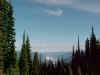 n_mt_rev.jpg (57830 bytes)
