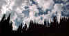 sky_sil2.jpg (25614 bytes)